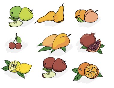 meyve. vektör çizimi.