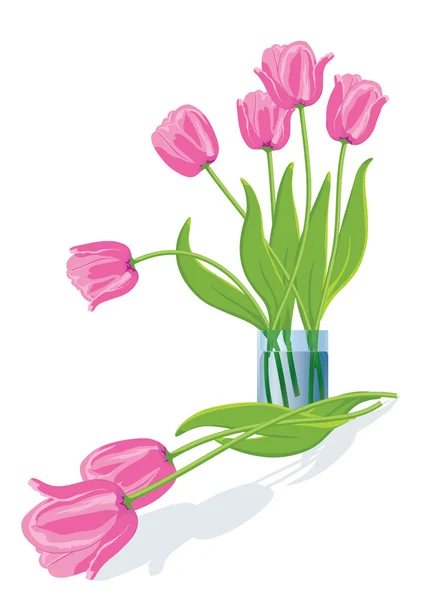 Pink tulips. — Stock Vector