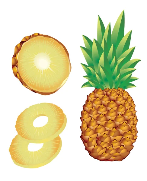 Ananas. — Image vectorielle