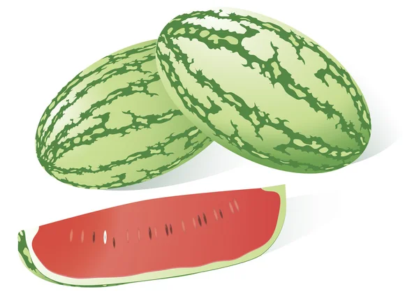 Wassermelone. — Stockvektor