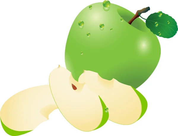 Grönt äpple. — Stock vektor
