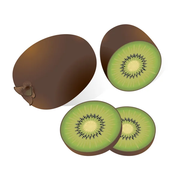 Kiwi. Ilustración vectorial — Archivo Imágenes Vectoriales