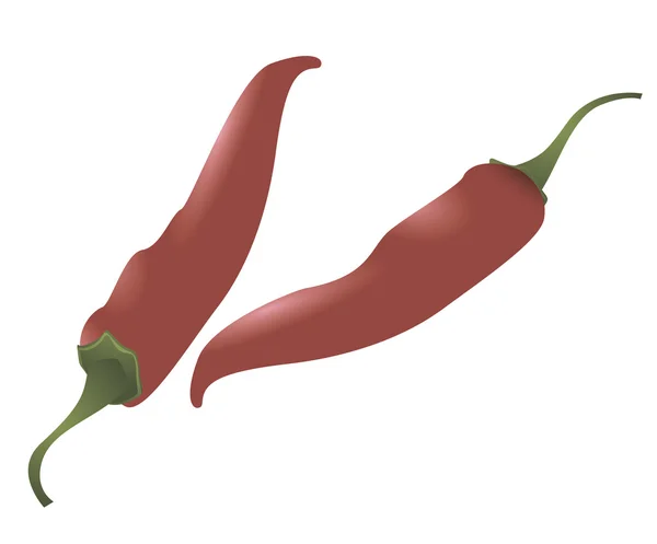 Pimientos picantes . — Vector de stock