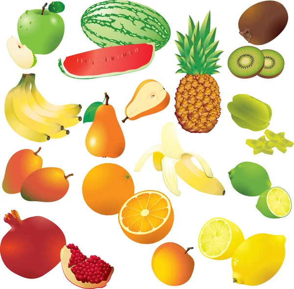Conjunto vetorial de 14 frutas frescas . — Vetor de Stock