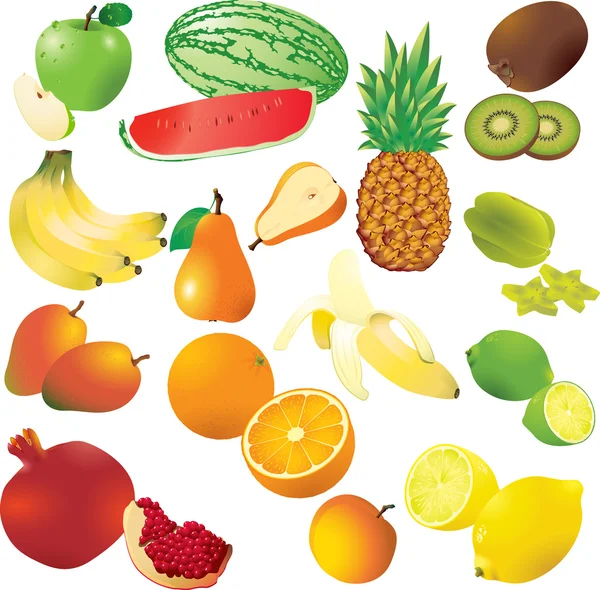 Vector set van 14 vers fruit. — Stockvector