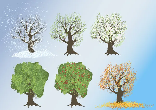Les saisons . — Image vectorielle