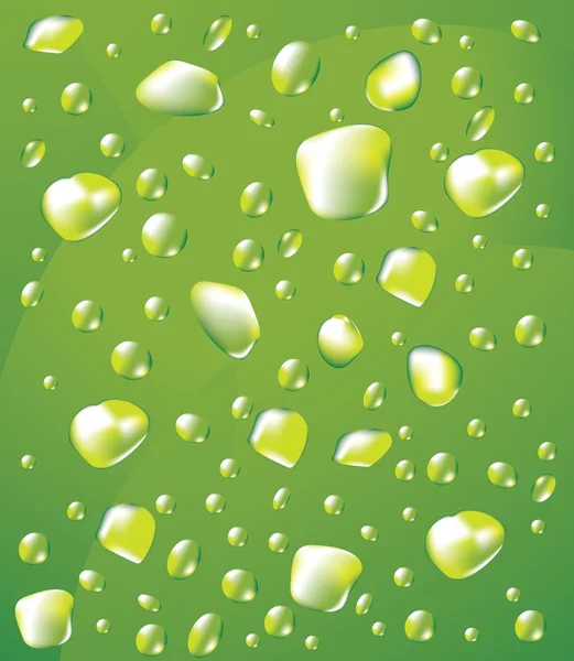 Dew drops vector background — Stock Vector