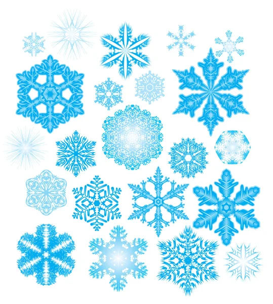 Exclusive collection of 22 snowflakes. — Stock Vector