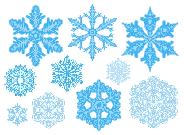 Set of 10 snowflakes. — Stock Vector