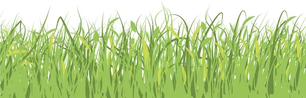 Vector inconsútil hierba de primavera — Vector de stock