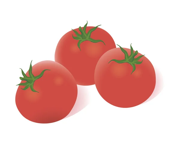 Tomate fraîche . . — Image vectorielle