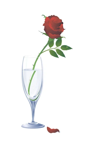 Rose in cristal glass. — Stock Vector