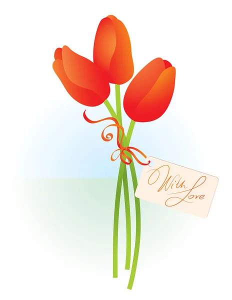 Tulips. — Stock Vector