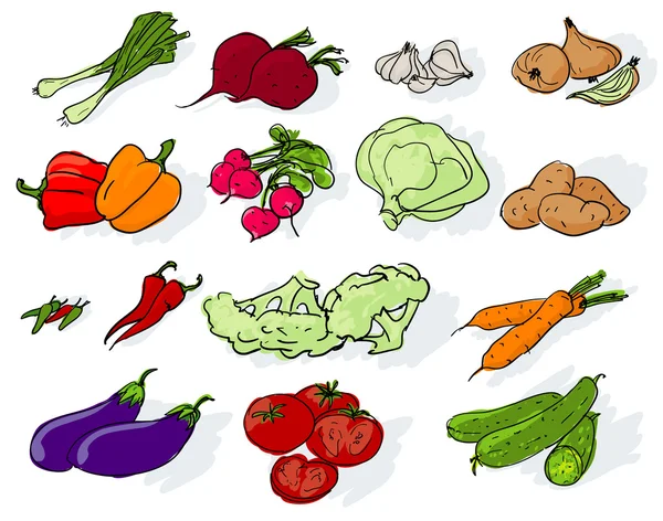 Ensemble de légumes dessinés à la main . — Image vectorielle