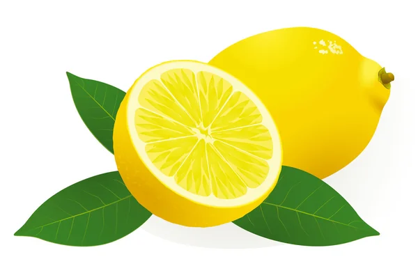 Zitrone. — Stockvektor