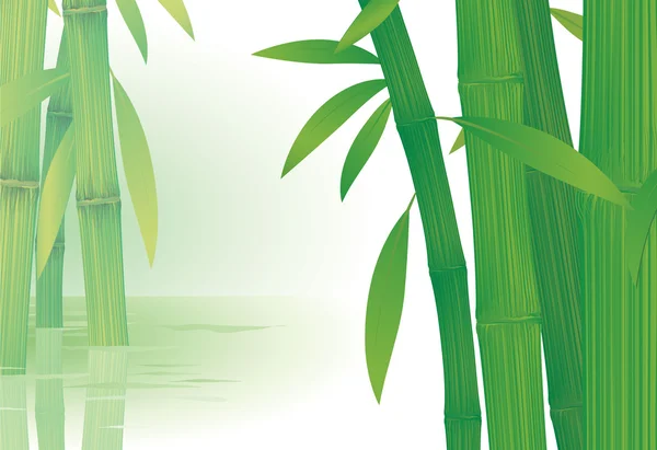 Bambú. — Archivo Imágenes Vectoriales