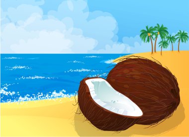 Hindistan cevizi beach vektör arka plan.