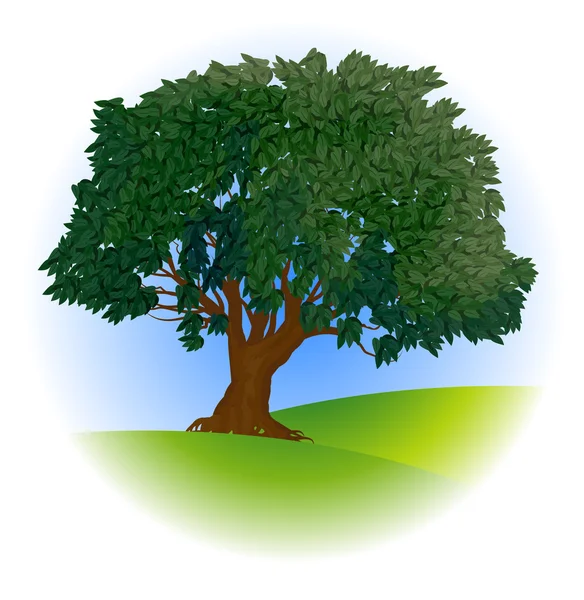 L'albero . — Vettoriale Stock