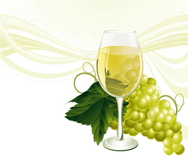 The glass of white wine and grape. — Stock Vector