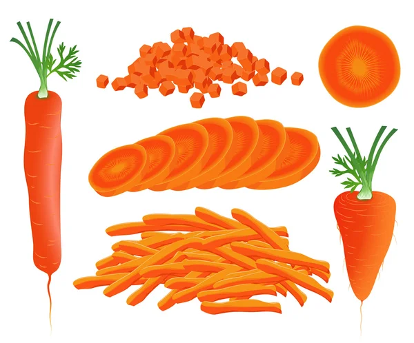 Zanahoria. — Vector de stock