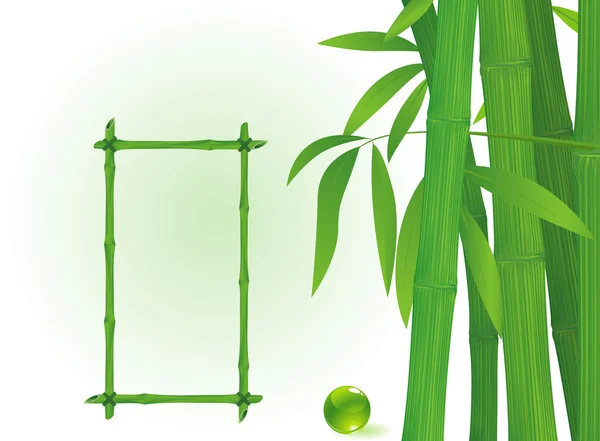 Bamboo frames. — Stock Vector