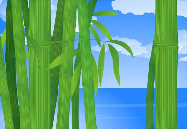 Bambù. — Vettoriale Stock