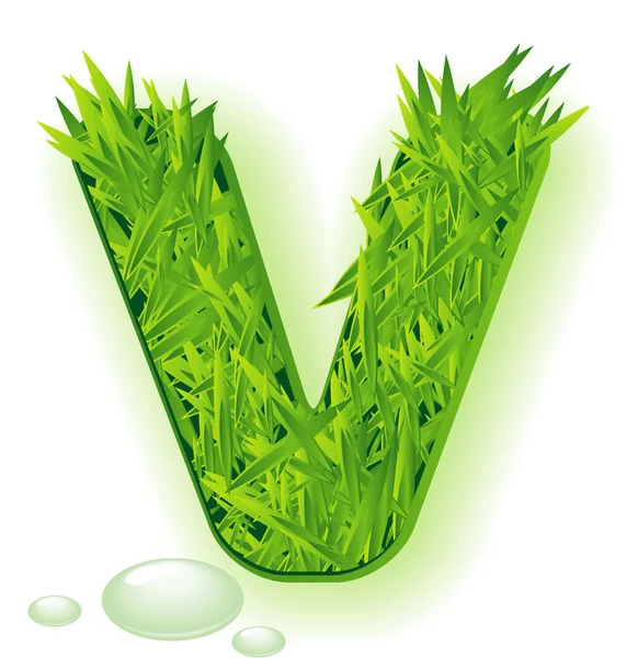 Carta de hierba vectorial . — Vector de stock
