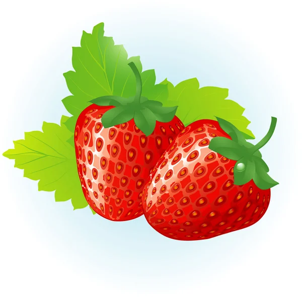 Strawberry. — Stock Vector
