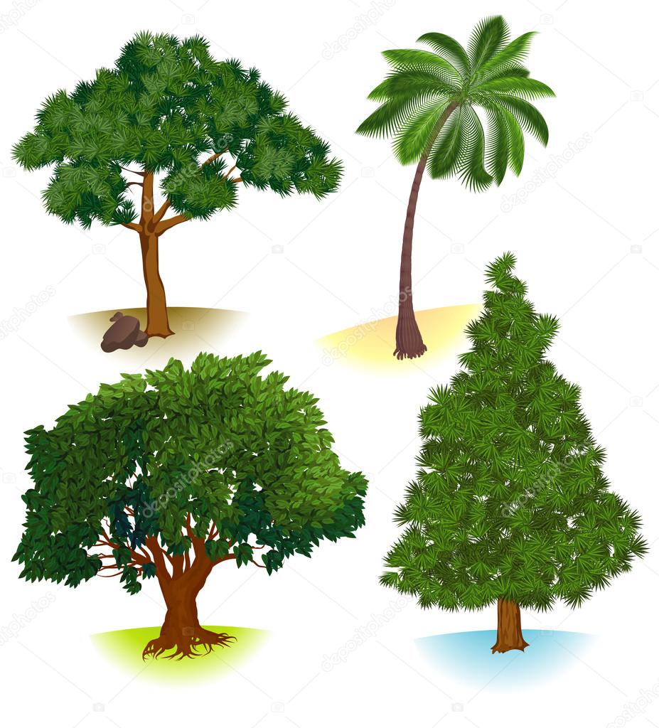 Vector trees.