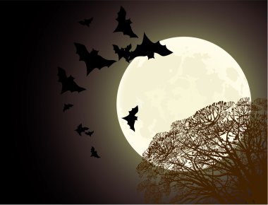 Cadılar Bayramı poster.