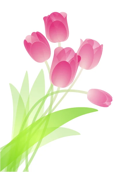 Pink tulip bouquet. — Stock Vector