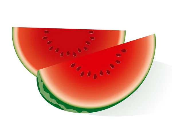 Water melon. — Stock Vector