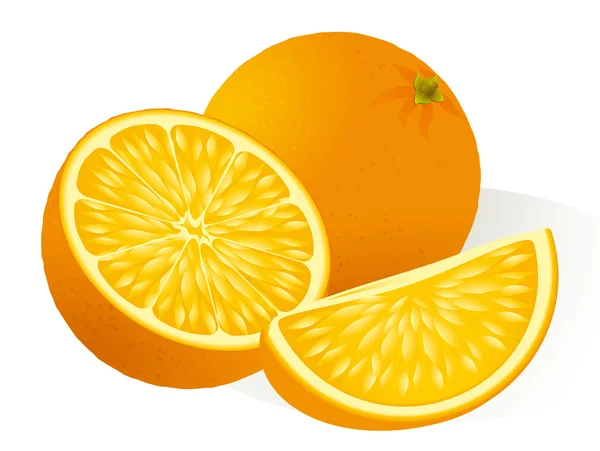 Naranja. Vector . — Vector de stock