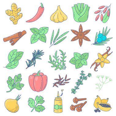 Baharatlar, baharatlar ve bitkiler