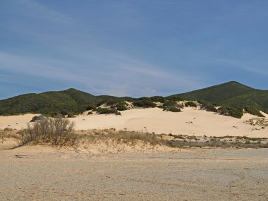piscinas, paisaje de dunas en la costa verde, sudoeste Cerdeña, Italia, Europa