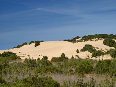piscinas, paisaje de dunas en la costa verde, sudoeste Cerdeña, Italia, Europa