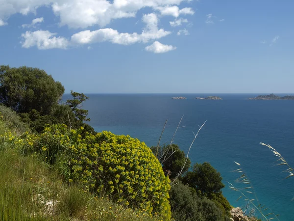 Paisaje cerca de Villasimius, Cala Pira, Sureste de Cerdeña, Italia, Europa —  Fotos de Stock