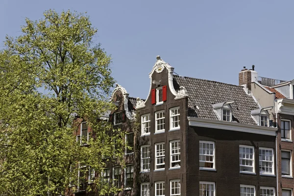 tipik amsterdam bina, Hollanda, Hollanda, Avrupa