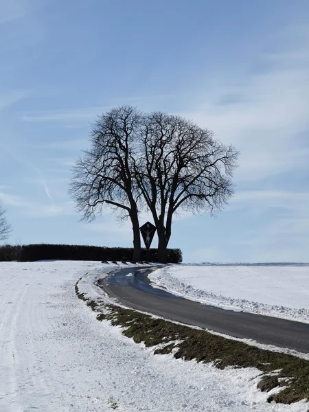 板栗树 (欧洲七叶树） 冬天，坏他们奥拉杜尔，osnabruecker 的土地，降低了萨克森，德国，欧洲 — 图库照片
