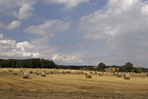 圆打包机，稻草在下萨克森，德国、 欧洲 — 图库照片
