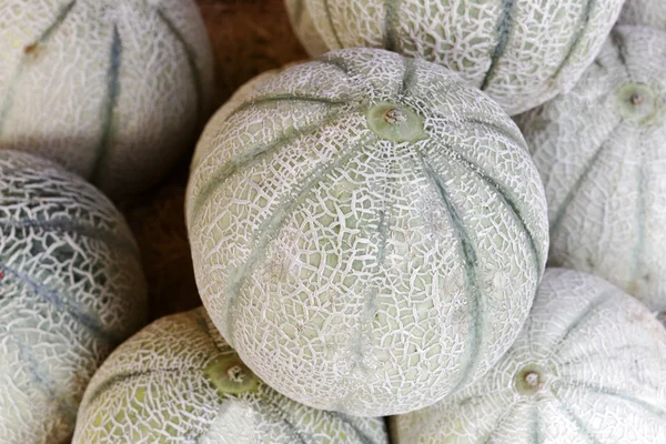 Galia melon, Netted melon (Cucumis melo) on a market in Southern France — Stock Photo, Image