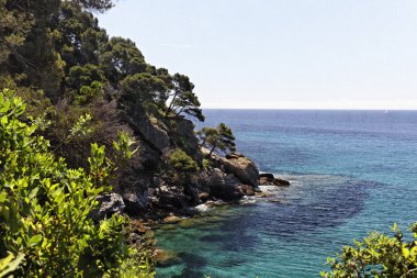 Akdeniz kıyılarında, cote d'azur, provence, Güney Fransa CANADEL-sur-mer, Fransa