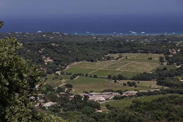 View from Ramatuelle at the landscape near Saint-Tropez, Cote d'Azur, Provence, Southern France — Stock Photo, Image