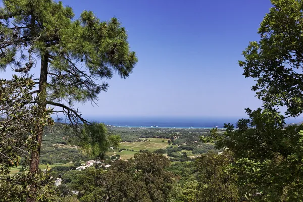 Vista desde Ramatuelle en el paisaje cerca de Saint-Tropez, Costa Azul, Provenza, sur de Francia —  Fotos de Stock