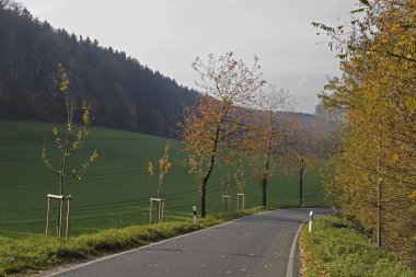 ülkede yol sonbahar, holperdorp, Kuzey Ren-Vestfalya, Almanya