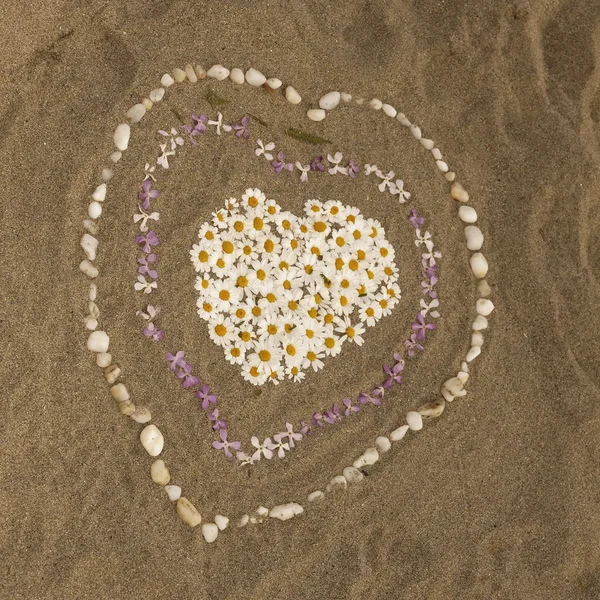 Sandy beach with hearts from flowers — Stock Photo, Image