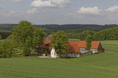 Farm in May, Osnabrueck country region, Lower Saxony, Germany, Europe clipart
