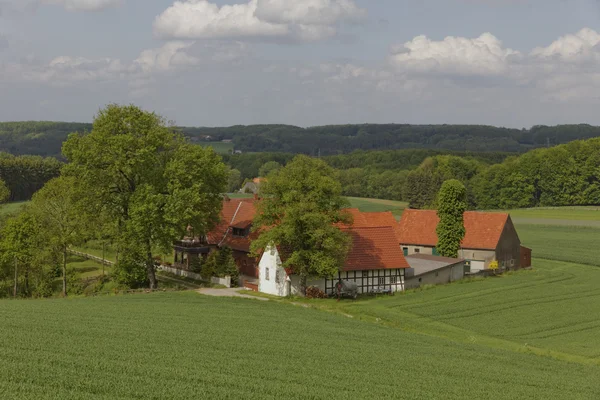 Ferme en Mai, région du pays Osnabrueck, Basse-Saxe, Allemagne, Europe — Photo