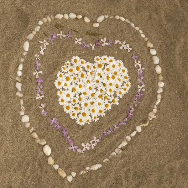 Sandy beach with hearts from flowers, Corsica, Europe — Stock Photo, Image