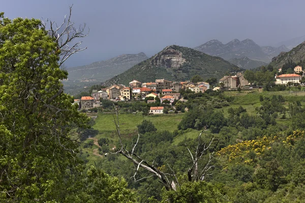 Mountain village olmeta di tuda (olmeta-di-tuda), nebbio region, norra Korsika, Frankrike — Stockfoto